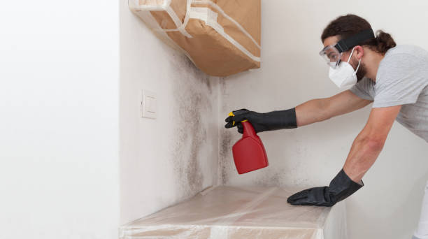 Professional Basement Mold Removal technician working in Hummelstown, PA