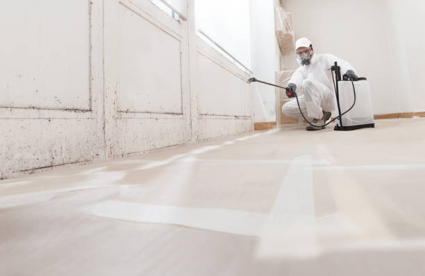 24/7 Emergency Basement Mold Removal experts in Hummelstown, PA